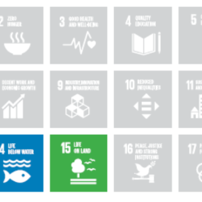 اتفاقية منحة لدعم الاتحاد في تنفيذ مشروع خطة عمل الاتحاد متعددة السنوات ENABEL